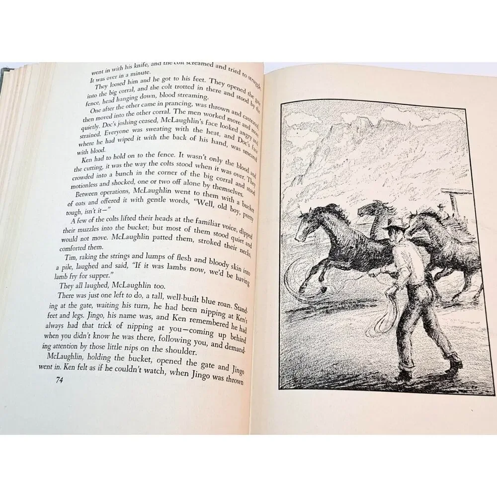 My Friend Flicka by Mary O'Hare (1941 Hardcover w/o DJ)